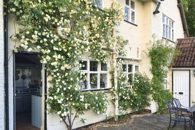 Rear Courtyard