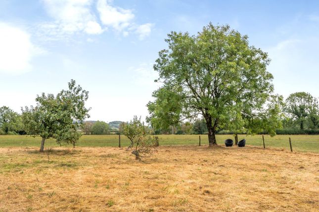 Windmill Farm,, Wagon & Horses Hill, Shepton Mallet photo 3