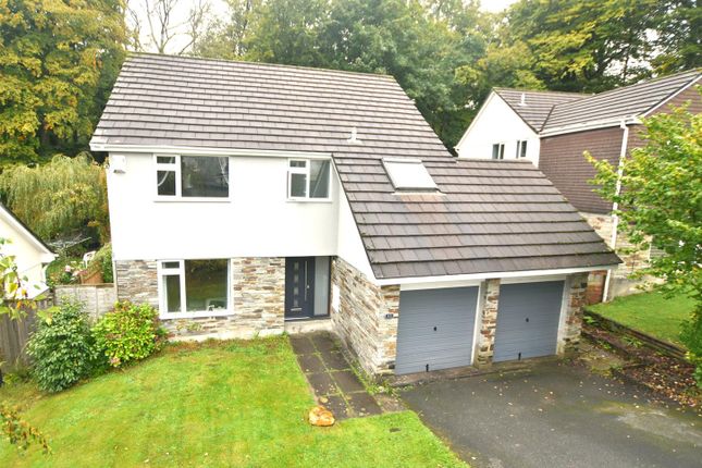 Thumbnail Detached house for sale in Newtake Road, Whitchurch, Tavistock