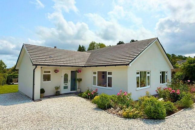 4-bed bungalow on Croes Faen Bungalow, Croes Faen, Monmouth, £565,000