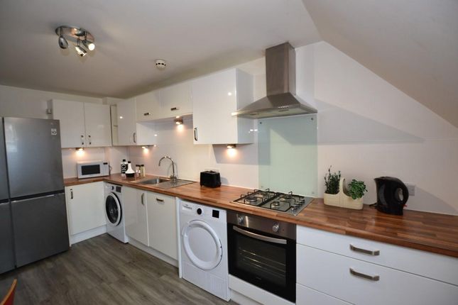 Thornton Hill, Exeter photo 3