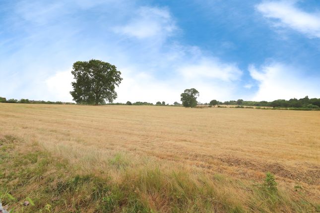 16, Fairfield, Bridgnorth photo 4