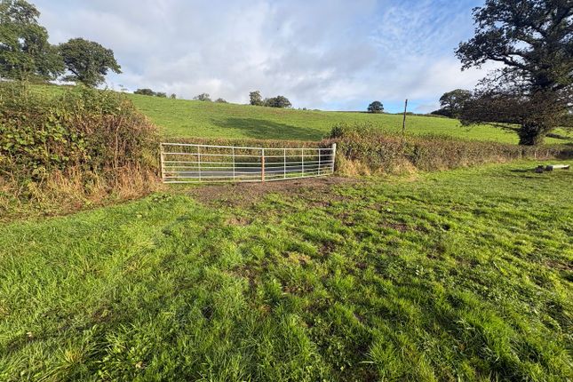 Land Lying to the North of Kings Lodge, Penybanc, Llandeilo photo 4