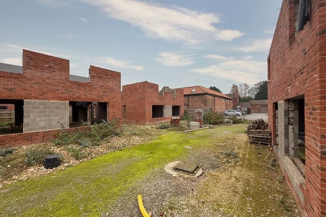 Site Image