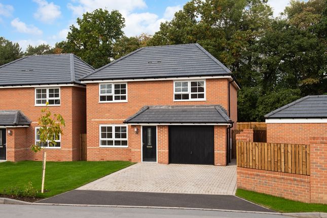 Thumbnail Detached house for sale in "Kennford" at Ellerbeck Avenue, Nunthorpe, Middlesbrough