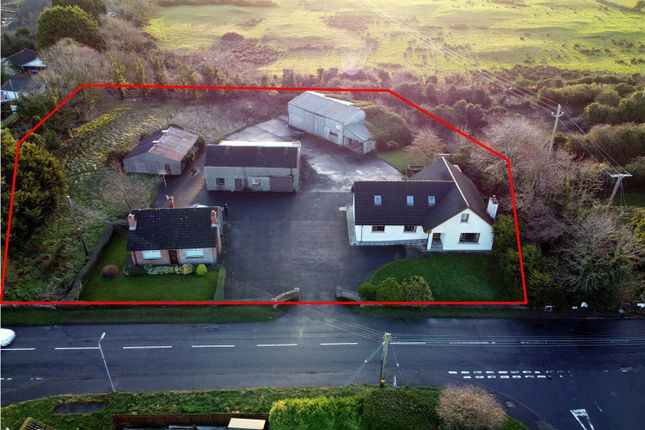Thumbnail Property for sale in 23A Manse Road, Carrowdore, Newtownards