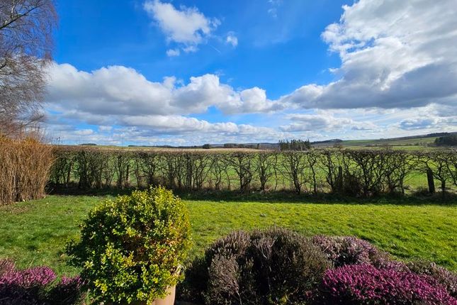 Bungalow for sale in Otterburn, Newcastle Upon Tyne