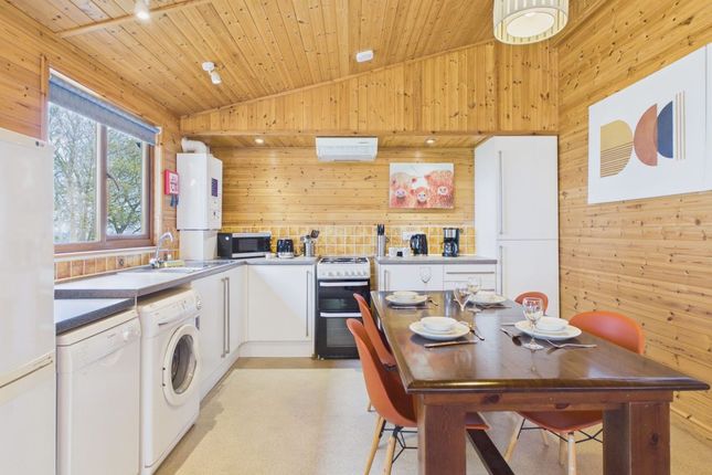 Lodge 4, Watermouth Lodges, Ilfracombe photo 3