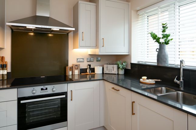 Plot 82, The Brahms at Molbrook, South Molton photo 3