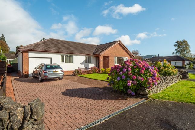 Thumbnail Bungalow for sale in Greenwood Close, Moffat
