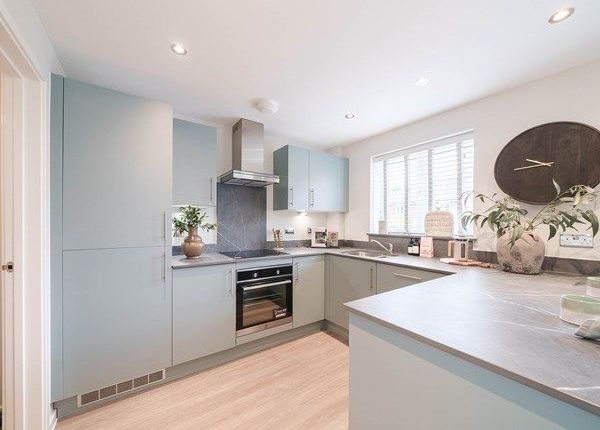 Plot 389 Ashworth Place, Exeter photo 4