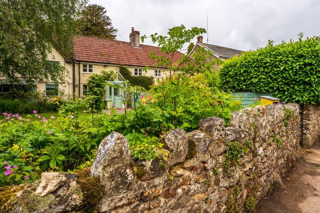 Hill View,1, Axminster photo 2