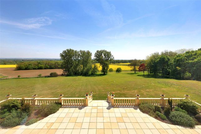 Terrace And View