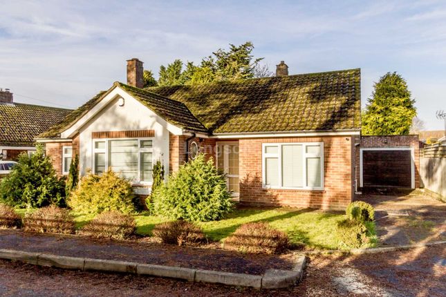 Haspalls Road Swaffham Pe37 Bungalows For Sale Buy Houses In