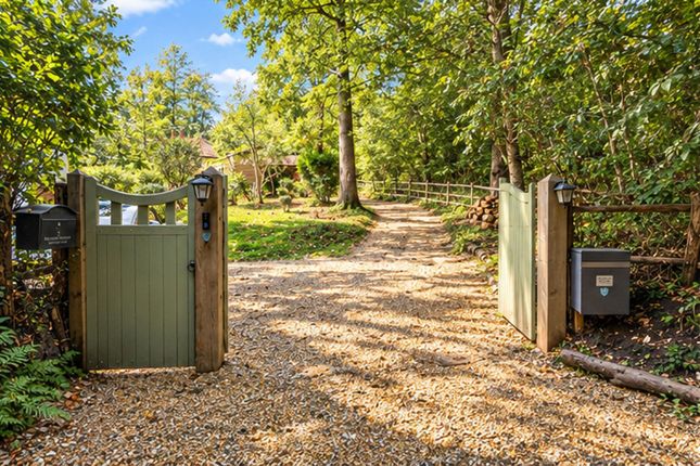 2 Bohemia Cottages Georges Lane, Pulborough photo 4