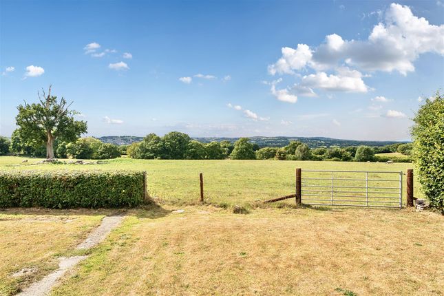 1 Hays Cottages, Chaffcombe photo 3