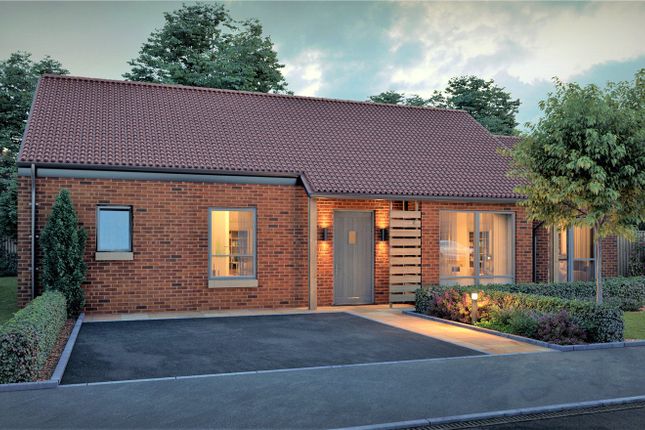 Thumbnail Bungalow for sale in Taiga Place, Rhodesia, Worksop, Nottinghamshire