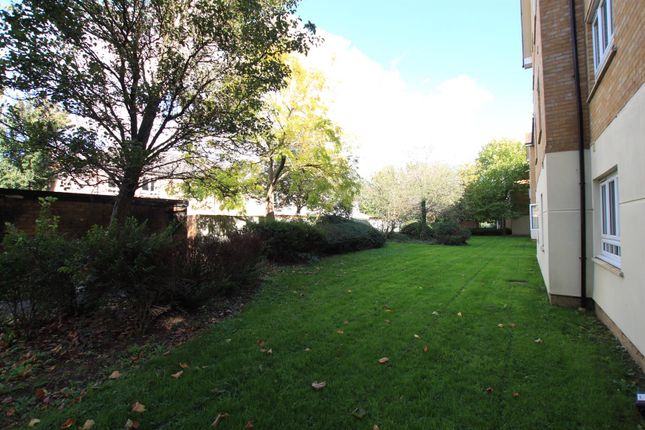Communal Gardens
