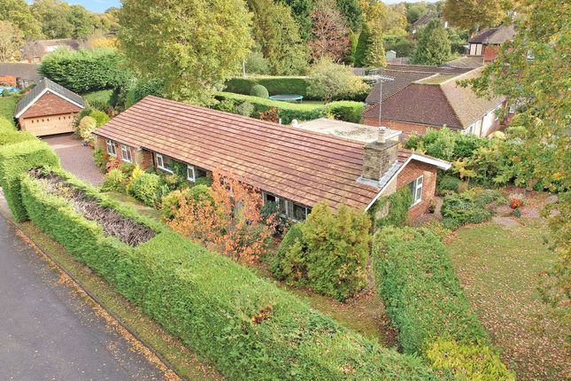Thumbnail Detached bungalow for sale in Ifoldhurst, Ifold