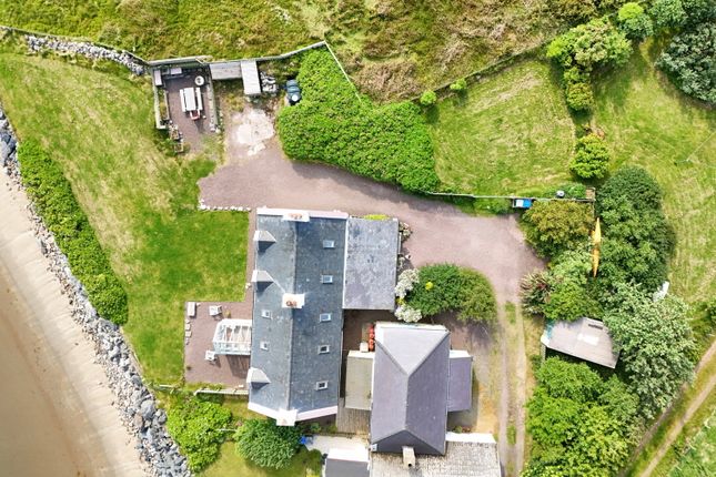 The Taing, Shetland photo 4