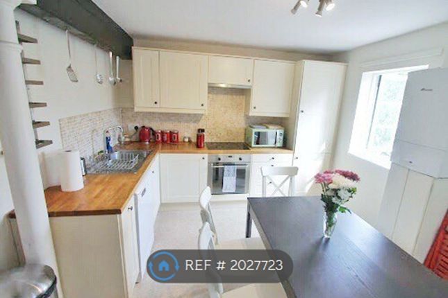 Terraced house to rent in Nether Craigwell, Edinburgh