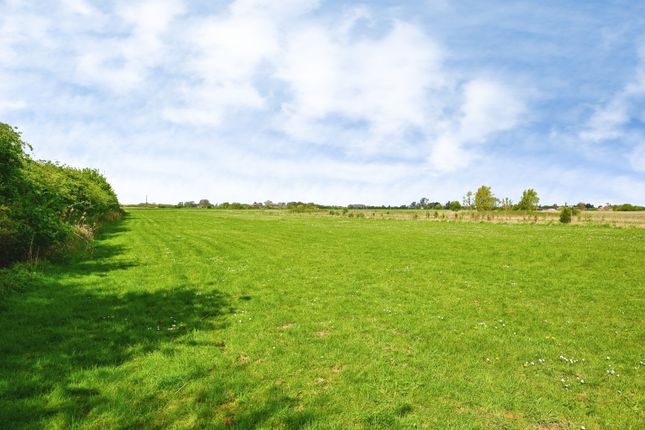 190, Baulkins Drove, Sutton Saint James photo 3