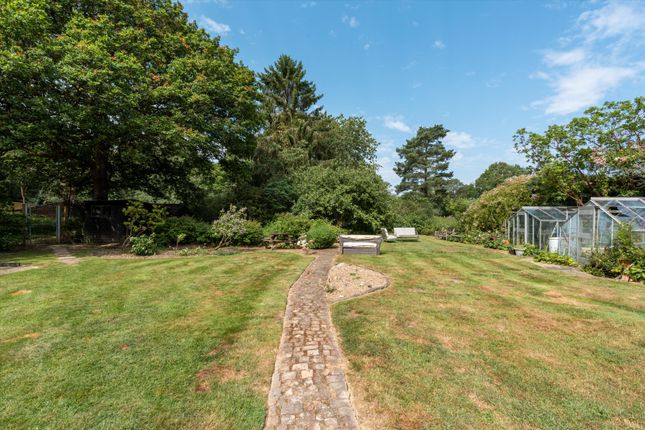 Horsham Lane, Cranleigh photo 4
