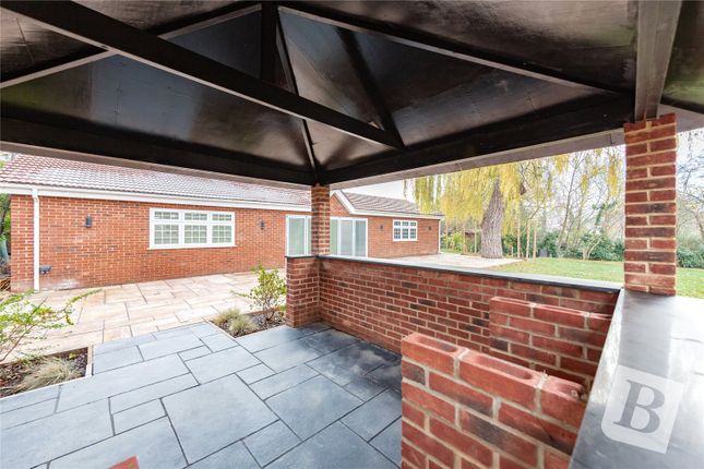 Patio Area
