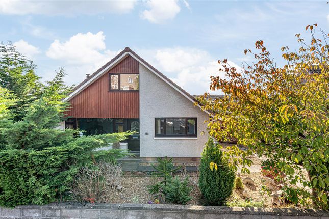 Untitled (1 Of 1).Jpg