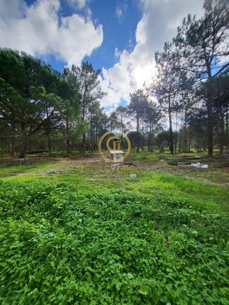Land for sale in Sines, Portugal