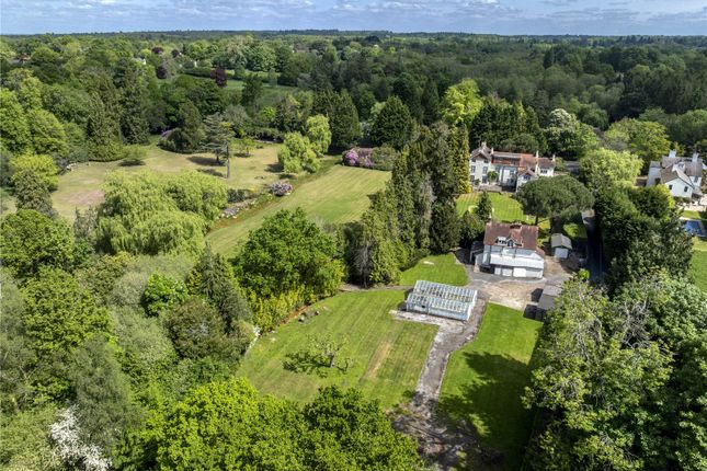 Drone Image Grounds