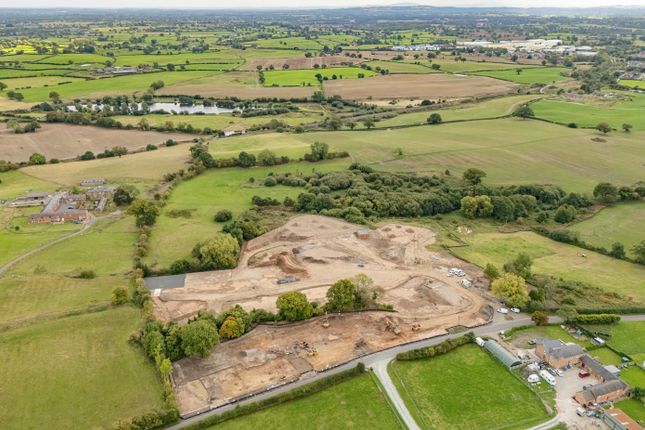 The Oss, Buttercup View, Whitchurch photo 3