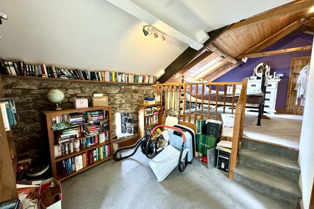 Study Area