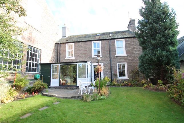 Thumbnail Semi Detached House To Rent In Westfield Place Dundee Thumbnail Semi Detached House To Rent In Westfield Place Dundee