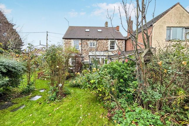 Tlc_41cc19E3-0ce5-4d6E-8807-981F4B78d07d_170B654.J