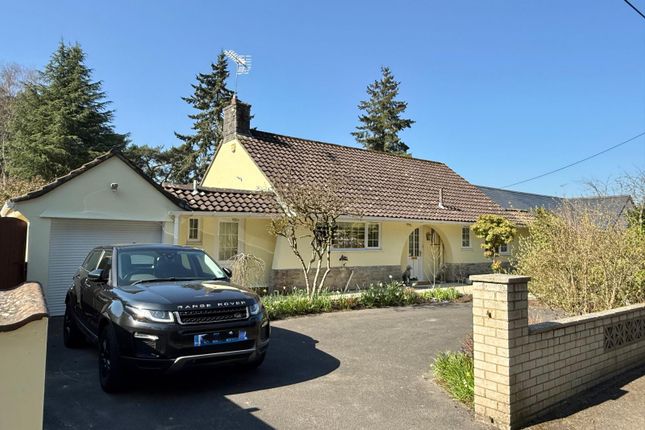 21 Cedar Avenue, St Leonards, Ringwood photo 3