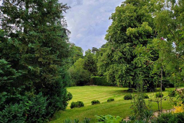 Breath Taking Views Of Your Grounds