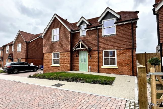 Thumbnail Detached house to rent in Windmill Hill, Hailsham