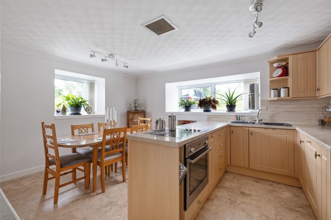 Fradon, Strathpeffer, Contin photo 4