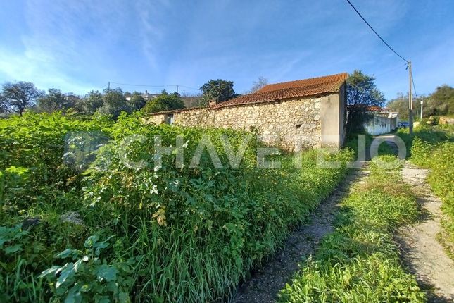 Detached house for sale in Longra, Madalena E Beselga, Tomar