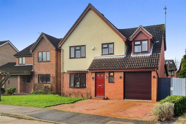 Thumbnail Detached house for sale in Windermere Drive, Great Notley, Braintree