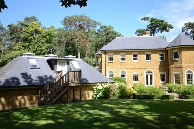 Thumbnail Detached house to rent in Swinley Road, Ascot
