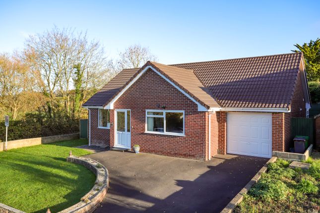 Thumbnail Detached bungalow for sale in St. Marys Close, Axminster