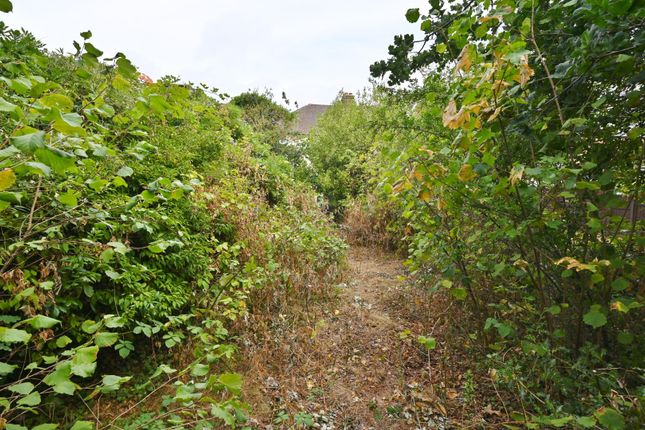 23, Broad Lane, Hampton photo 4