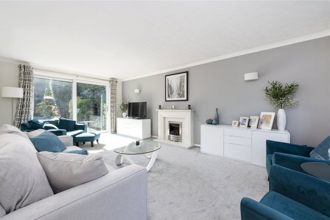 8, Iris Road, Woking photo 3