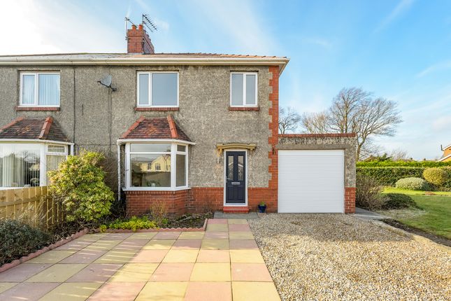Thumbnail Semi-detached house for sale in Greensfield Avenue, Alnwick