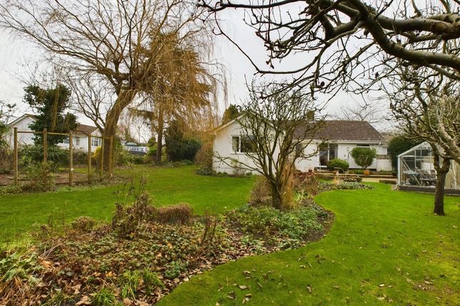 Detached bungalow for sale in Orchard Close, Cossington, Bridgwater