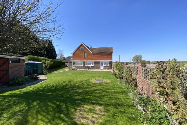 House And Garden