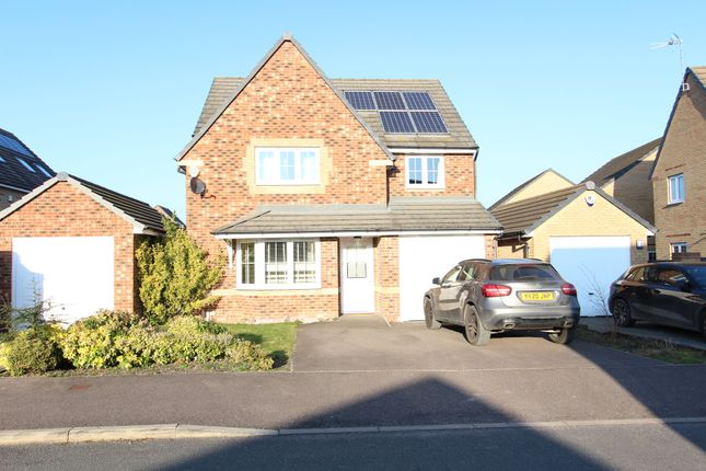 Detached house to rent in Wensley Road, Waverley