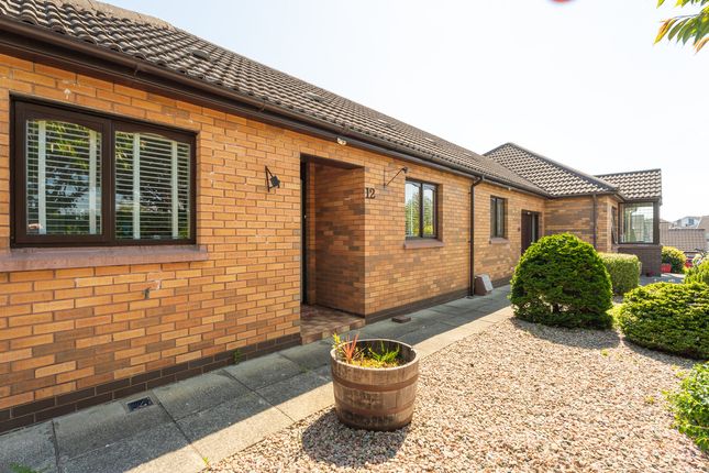 Thumbnail Terraced bungalow for sale in The Grange, Ballymena